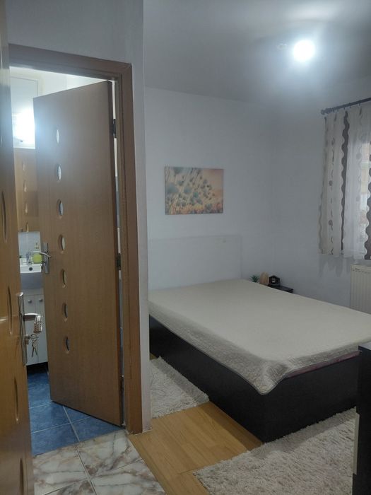 Apartamente de vanzare