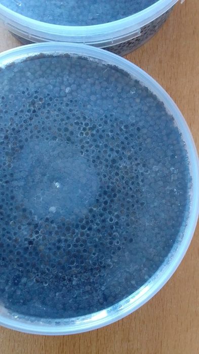 Чёрная икорка осетровой