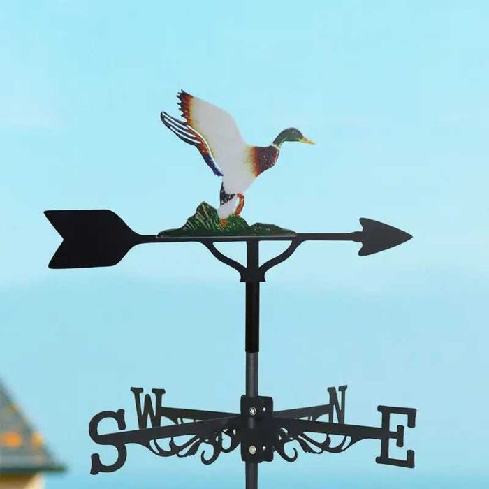 Ветропоказател , ветропоказатели - видове