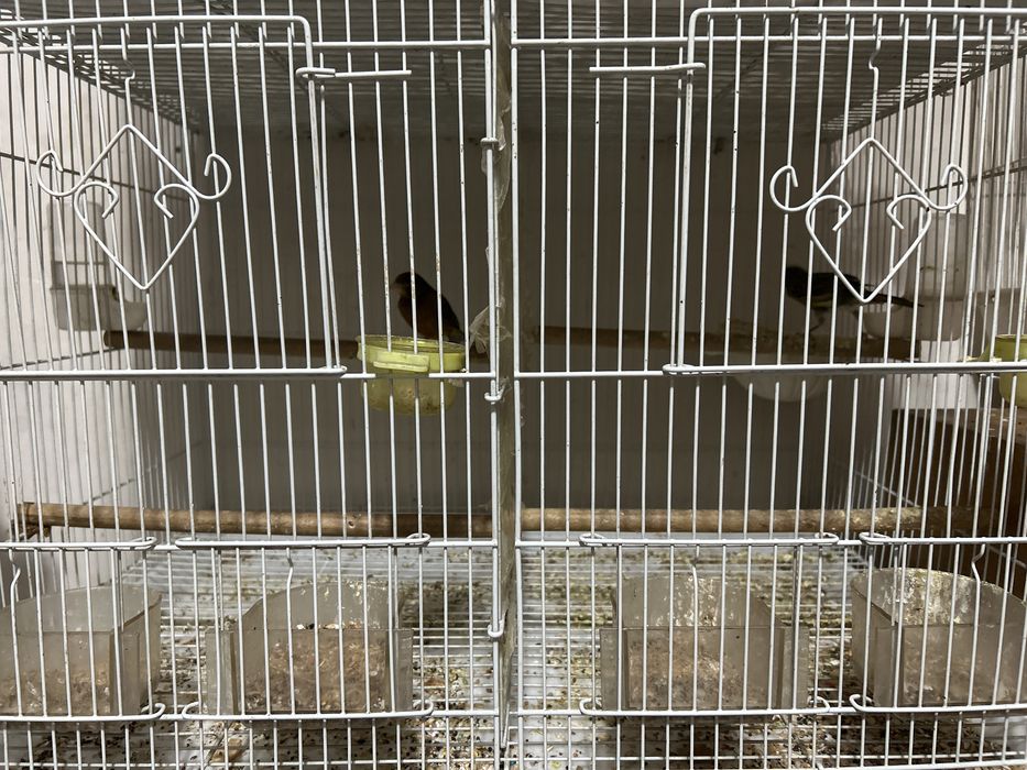 Есть доставка по городу шымкент