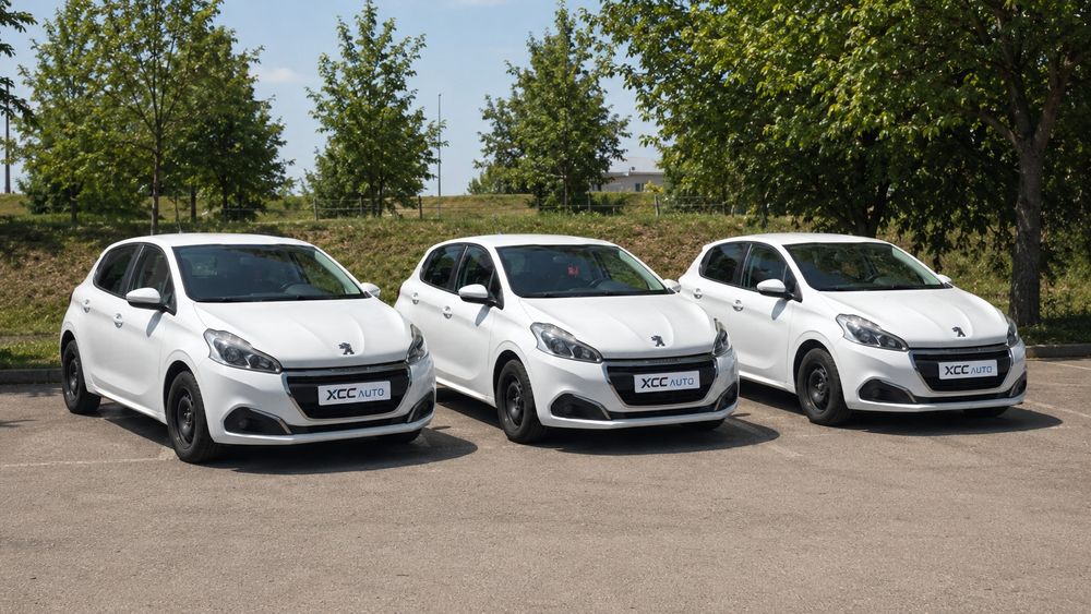 Inchirieri auto/Rent a car Targu Jiu, Gorj