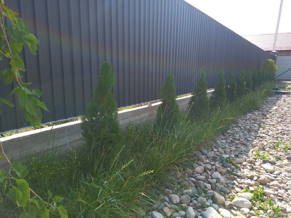 Продам дом 2024г