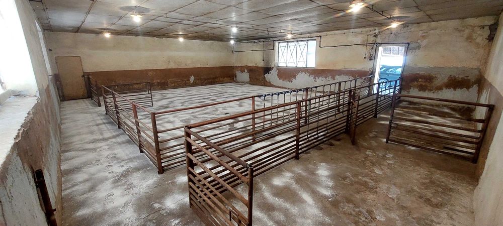 Продава се Промишлена сграда в с. Рибен, Област Плевен - 4100 кв.м за 57 €/кв.м - Снимка #17