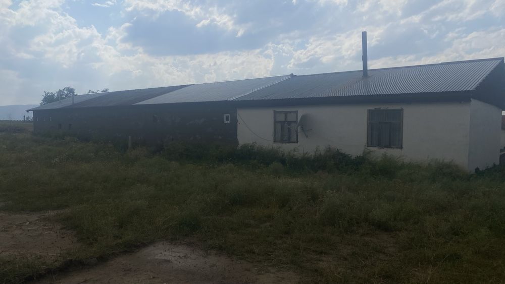 Срочно продается фазенда