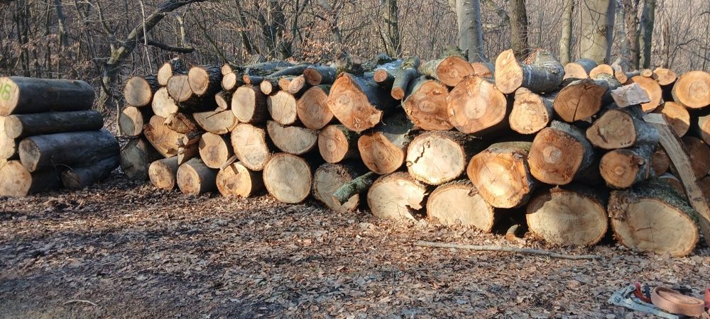 Lemn de foc jud sibiu