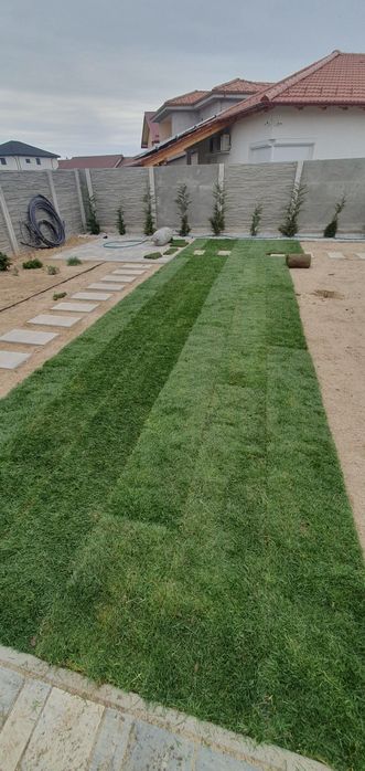 Gazon rulou 28 lei transport pana la usa