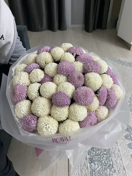 Свежий гүл бағасын келісеміз