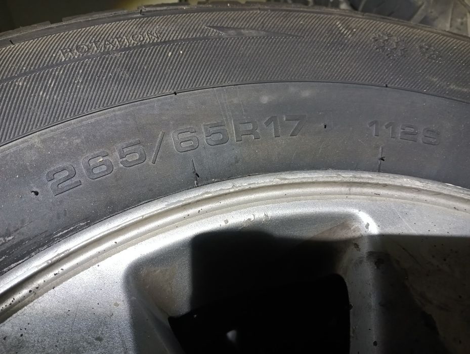 Су жаңа (Новый) 265,65,17