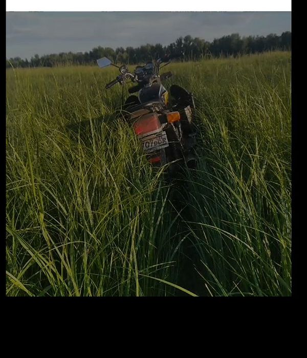 Солник 150 кубовый харошо розганяется