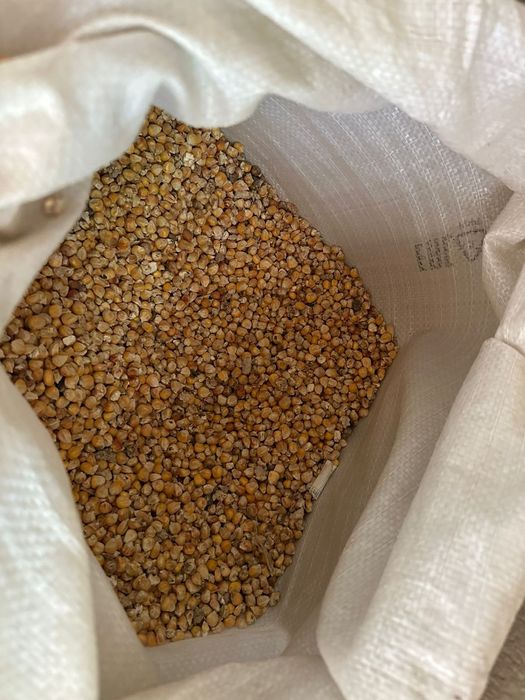 Продам отруби БЕНО  российские