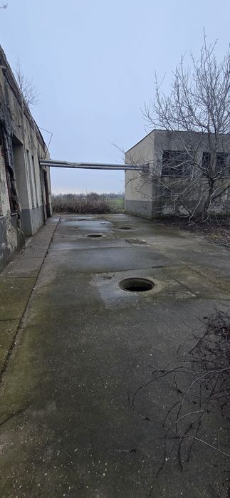 Hala cu teren de 10000mp intravilan