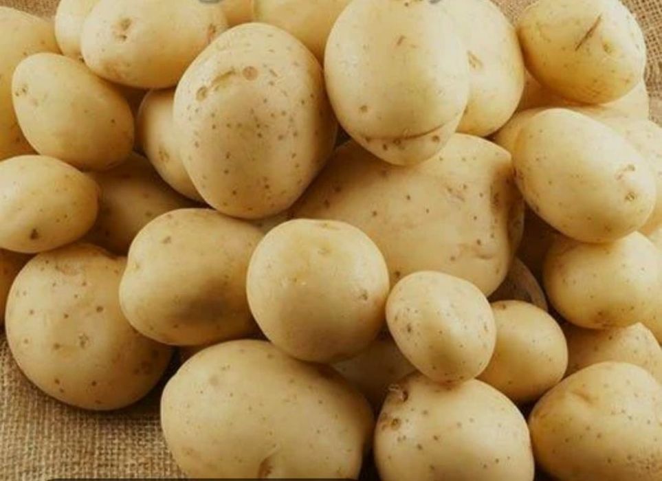 Продам домашний картофель разных сортов ,а также черную редьку