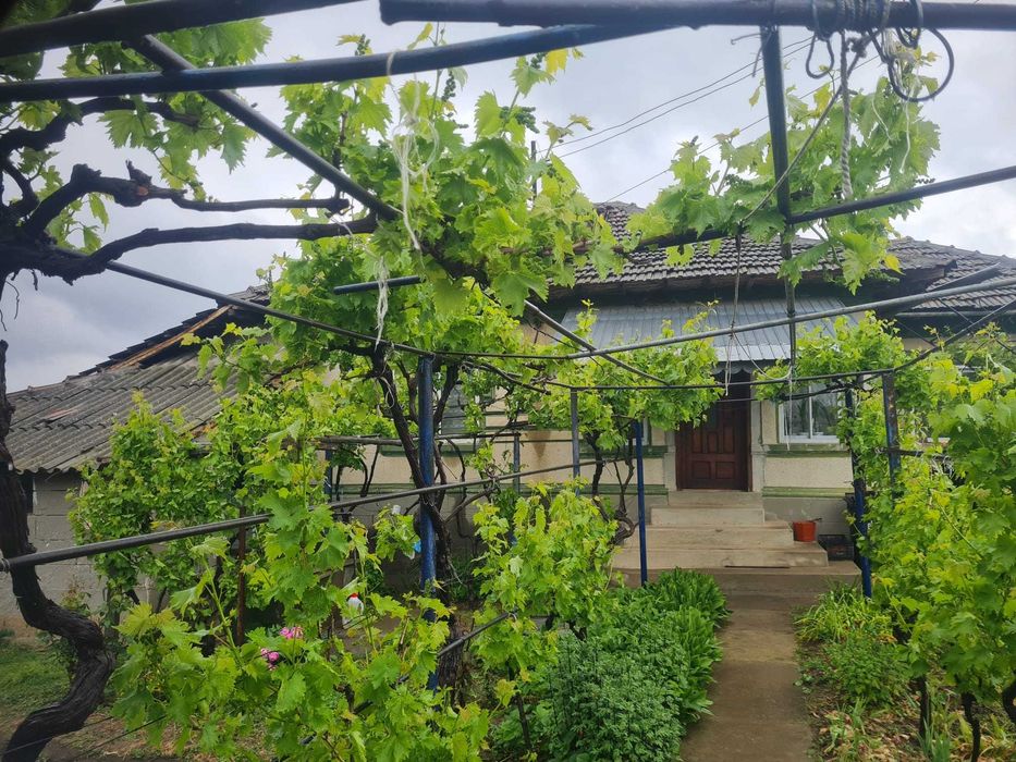 Casa in Oltina Constanța