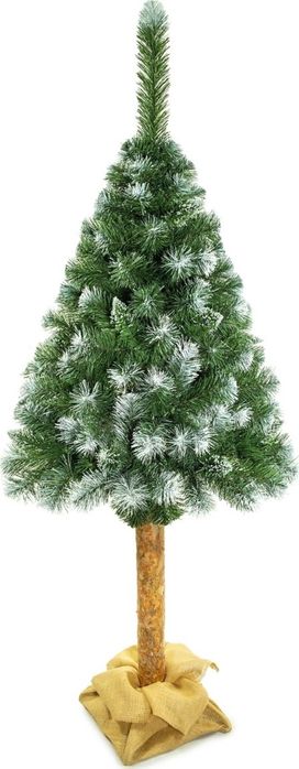 Коледна елха