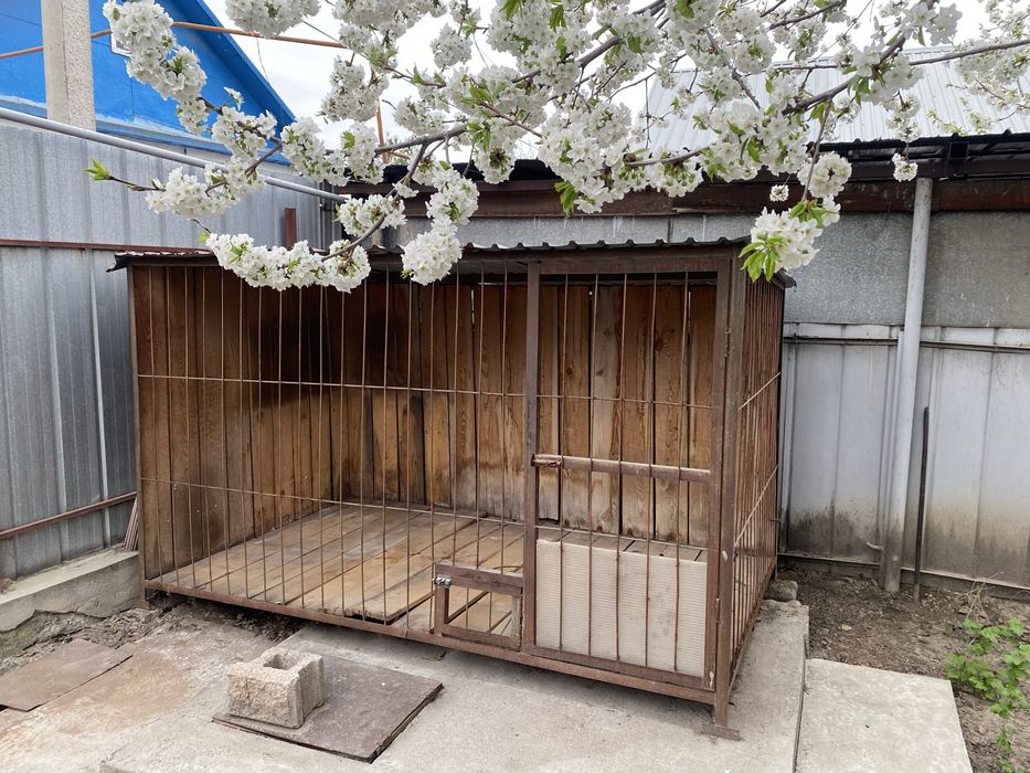 Вольер для собаки