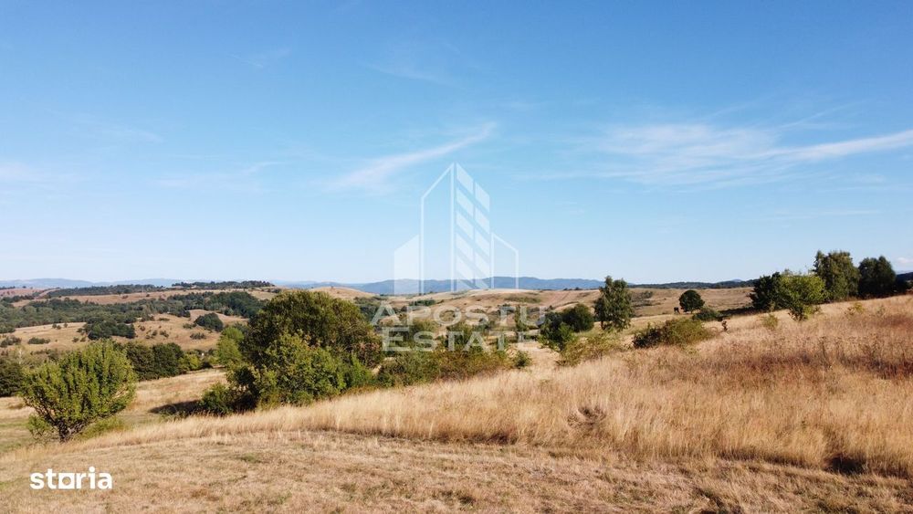 Teren de 50.000mp, priveliste panoramica spre munte si lac, Hunedoara