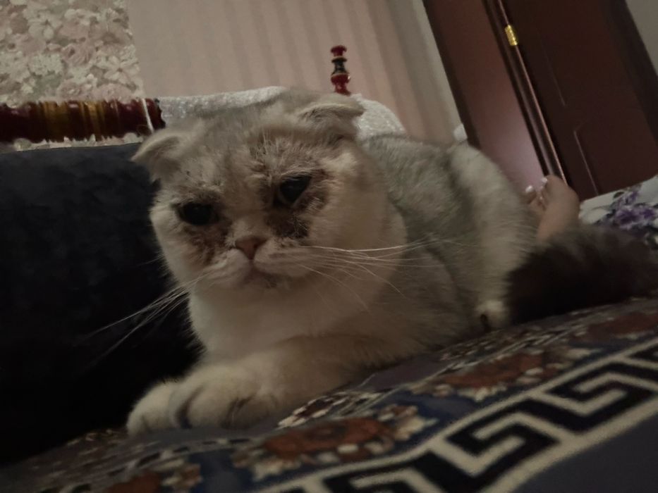 Savob uchun davolab qaraydigan insonlar bormi shundoq beraman