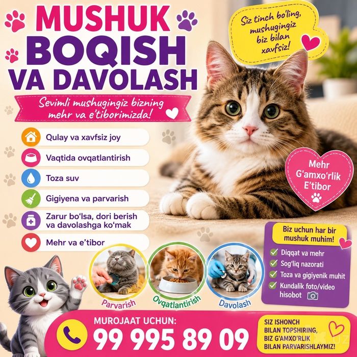 Mushuklaringizni vaqtincha boqib beramiz