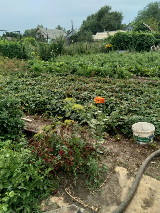 Продам дачный участок