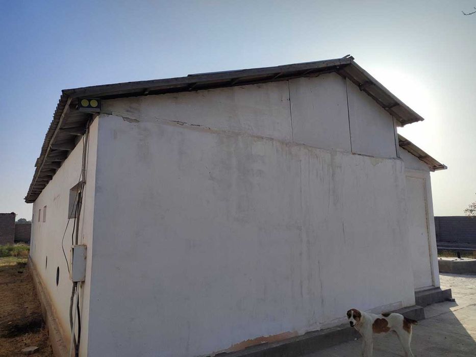 Nasilchilikka ixtisoslashtirilgan quyonchilik bino-inshoatlari