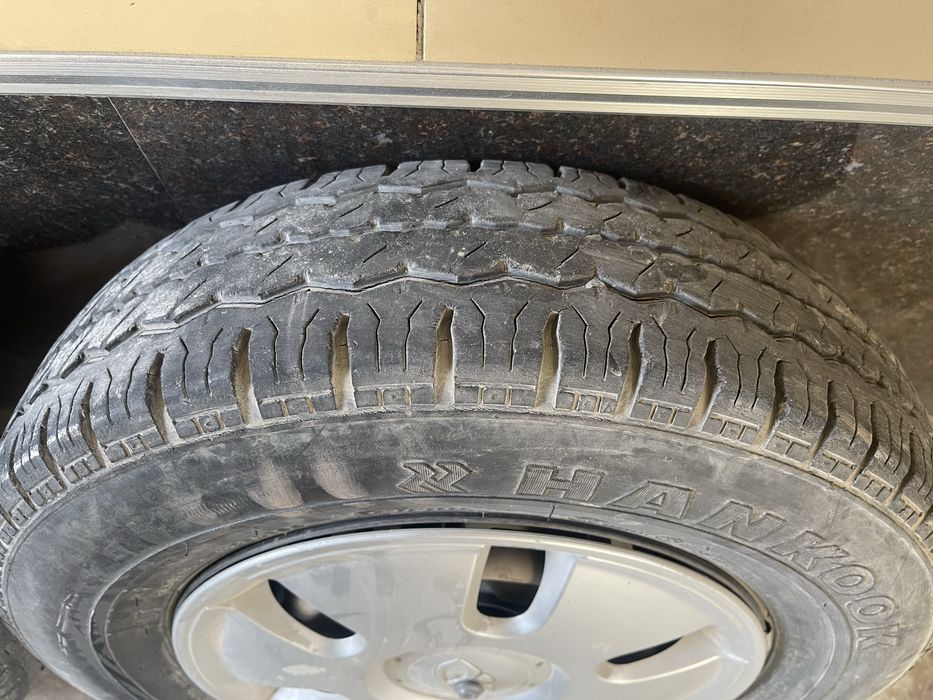 Damas balon diametor 12