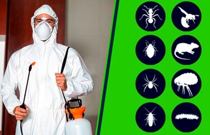 Dezinfeksiya xizmati