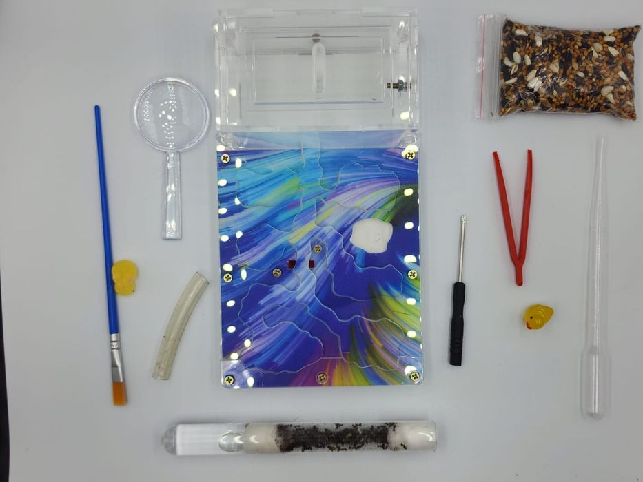 муравьиная ферма!!