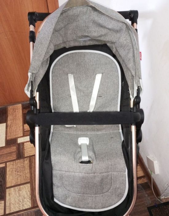 Детская коляска Amelia