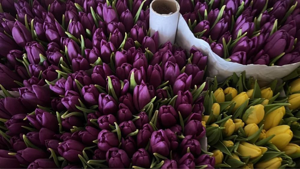 Букеты тюльпанов