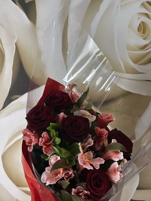 Цветы  сегодня купили срочна