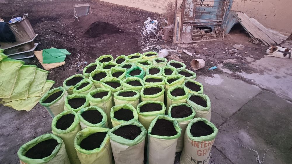 Biogumus qopi 36mindan