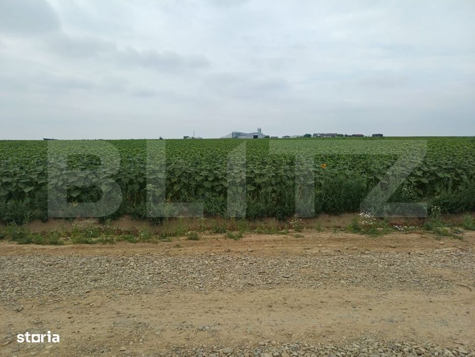 Teren intravilan de vanzare, parcelat, 11379 mp, Salcea