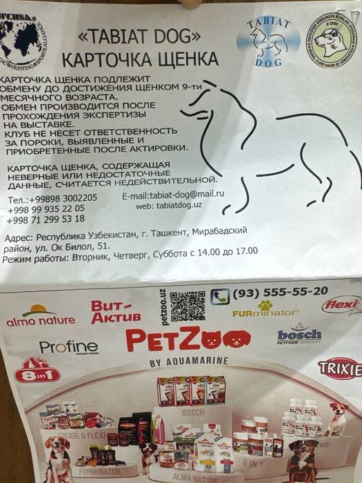 Продаём в хорошие руки немецкую овчарку, приучена, чистокровная