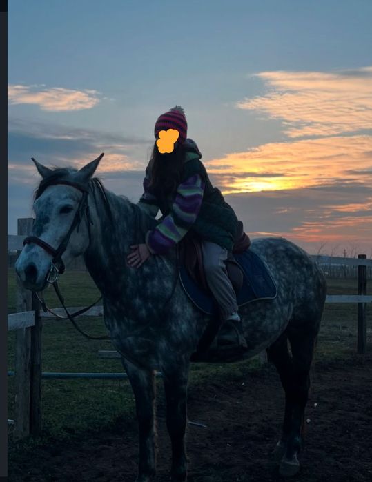 Iapa în vârstă de 7 ani