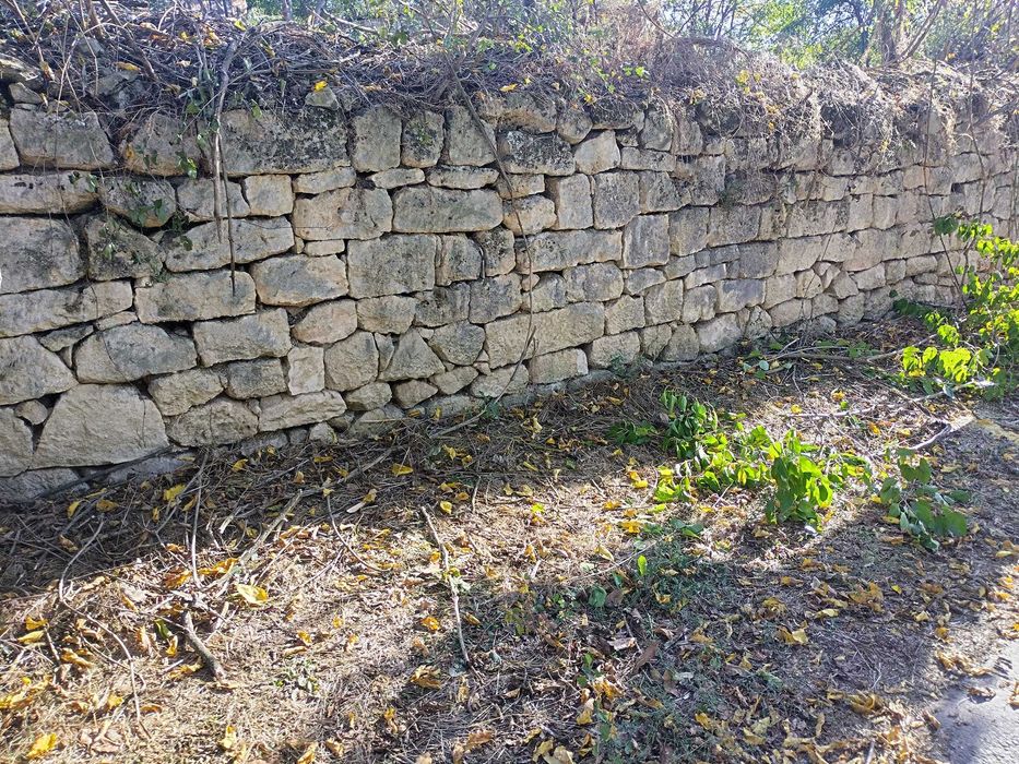 дворно място в село Червен, обл. Русе.