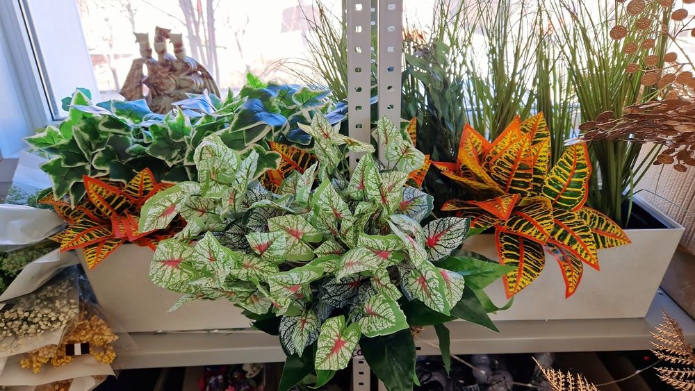 Искуственные растения разные