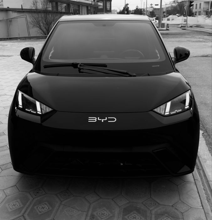 Byd seguall sotiladi 2024