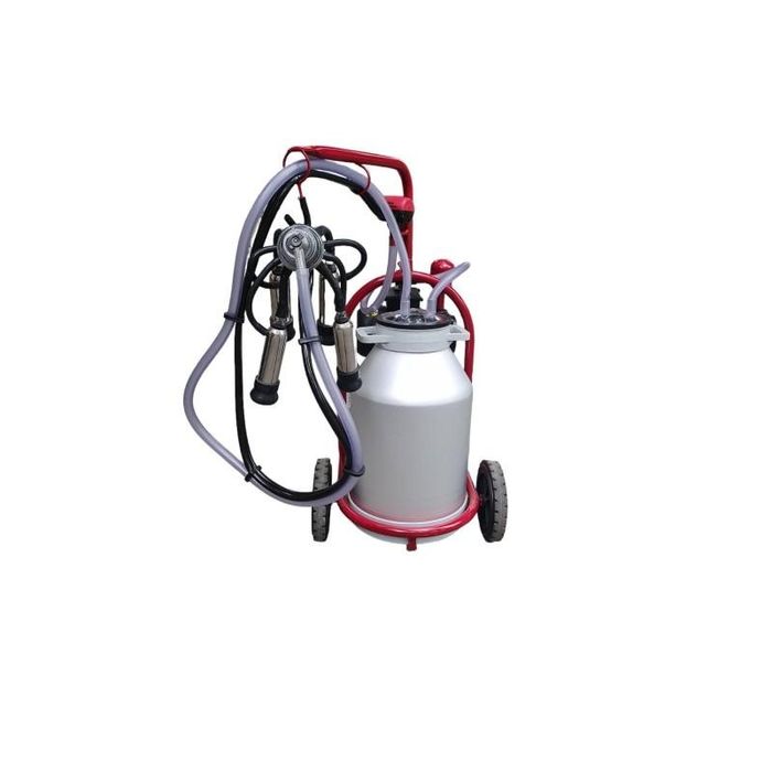 Rossiya talabalari guruh jinsiy aloqa