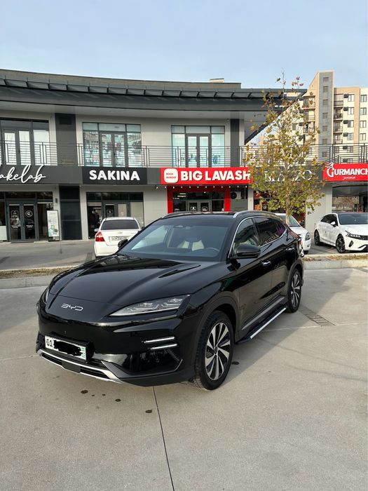 Byd chempion 2024 yil