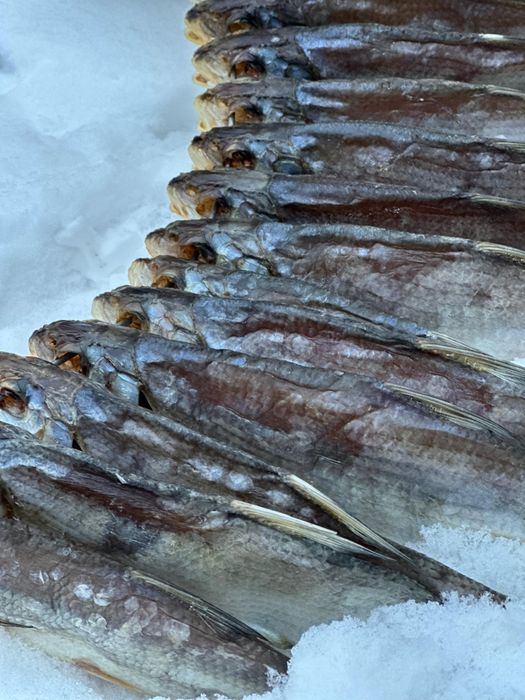 Сушеный рыбец 2026