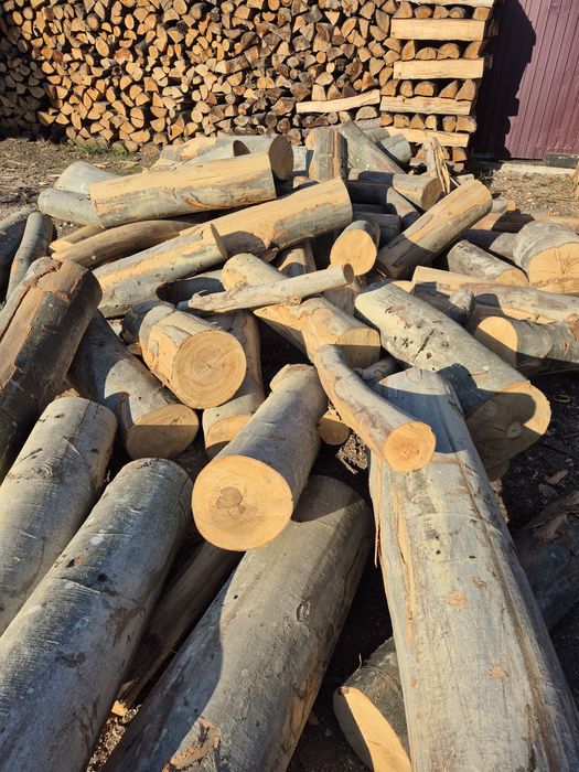 Lemne de foc doar esente tari