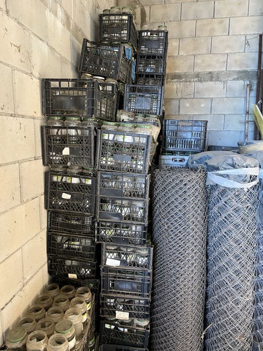 Буркани стъклени с капачка, тенекии за мед