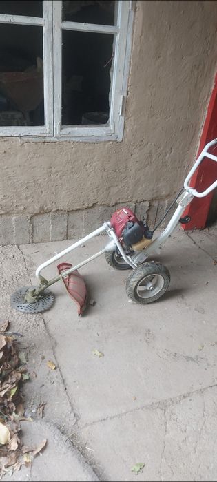 Триммер шөп орады