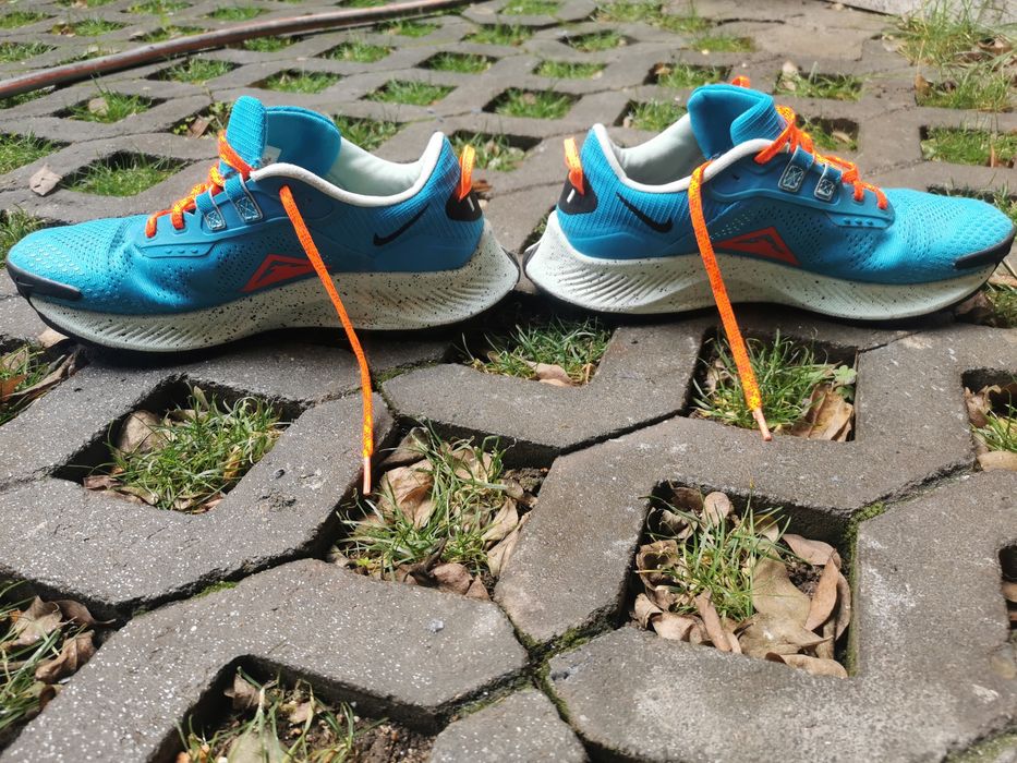 Nike pegasus trail 3