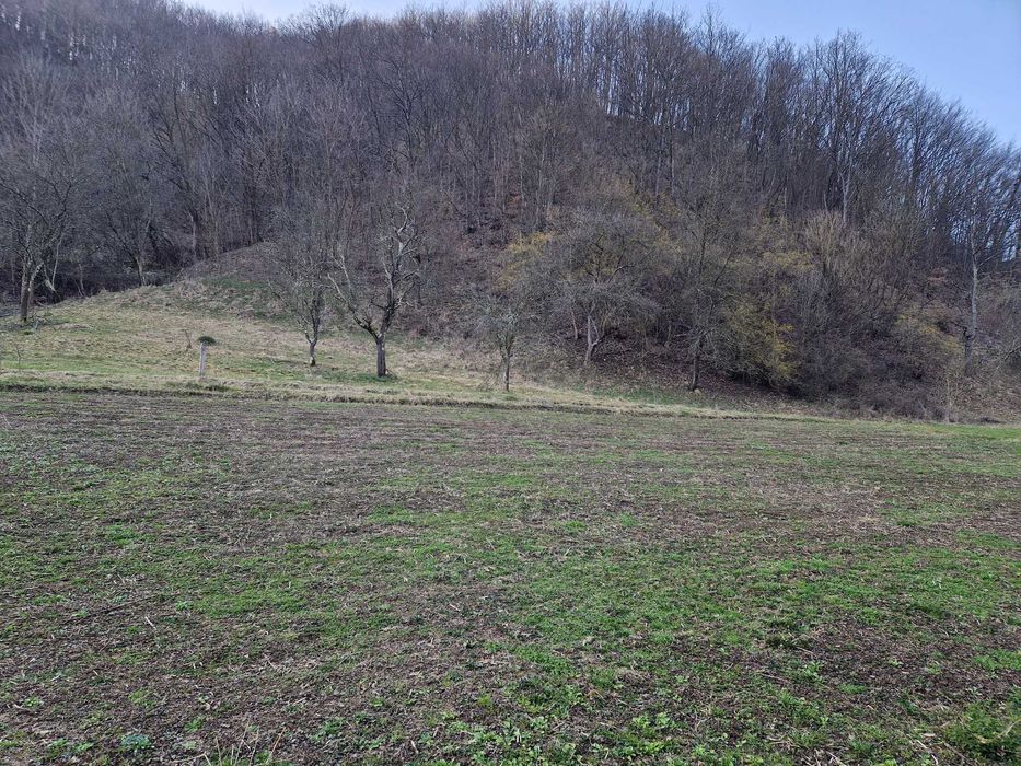 Teren intravilan de vanzare