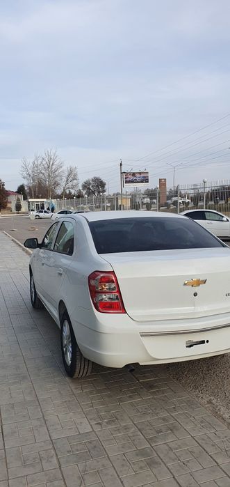 Cobalt Sotiladi Srochna Pachka Salonda Turibdi Schet Sprafka turibdi