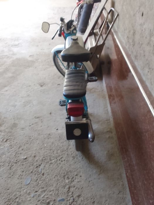 Velamaped 1990hrididiid