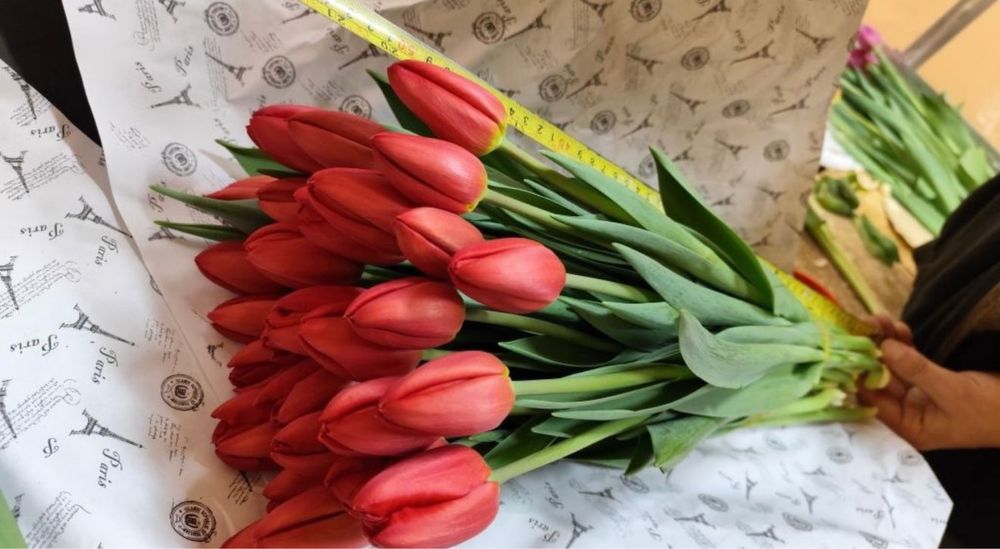 тюльпаны оптом 700тг!