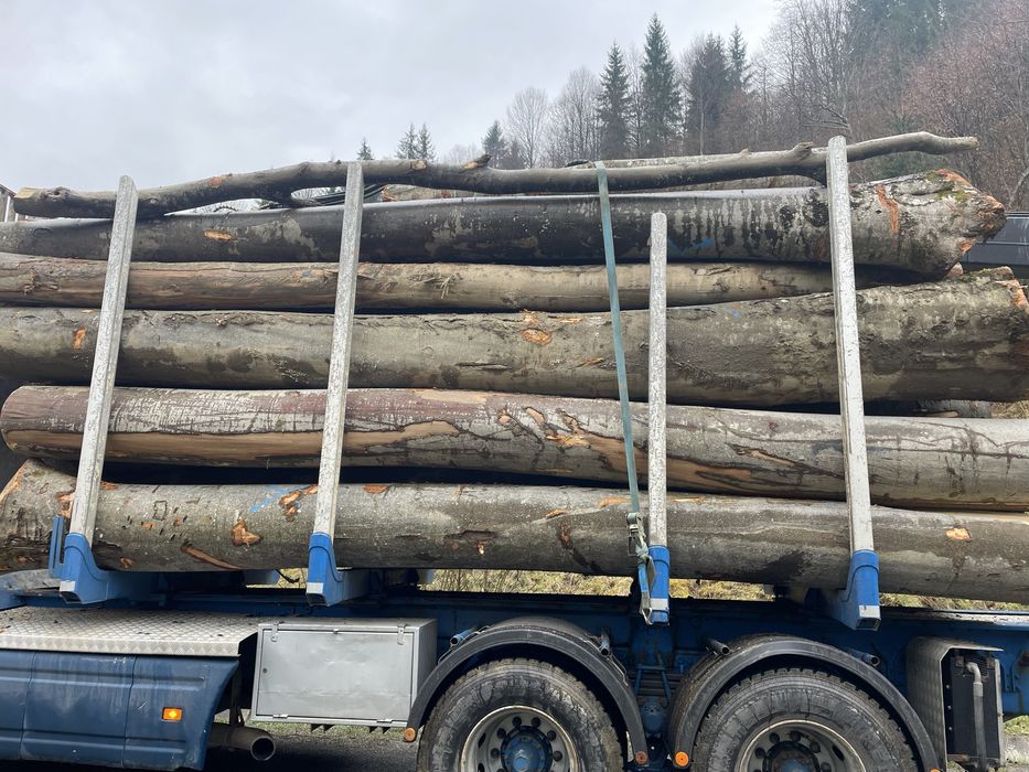 Lemne de foc fag bustean 500 metru cub