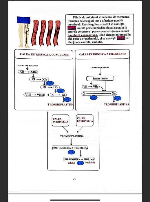 Admitere medicina